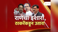 राणे आणि ठाकरेंच्या शिवसेनेत पुन्हा कलगीतुरा; काय आहे नवा वाद? 