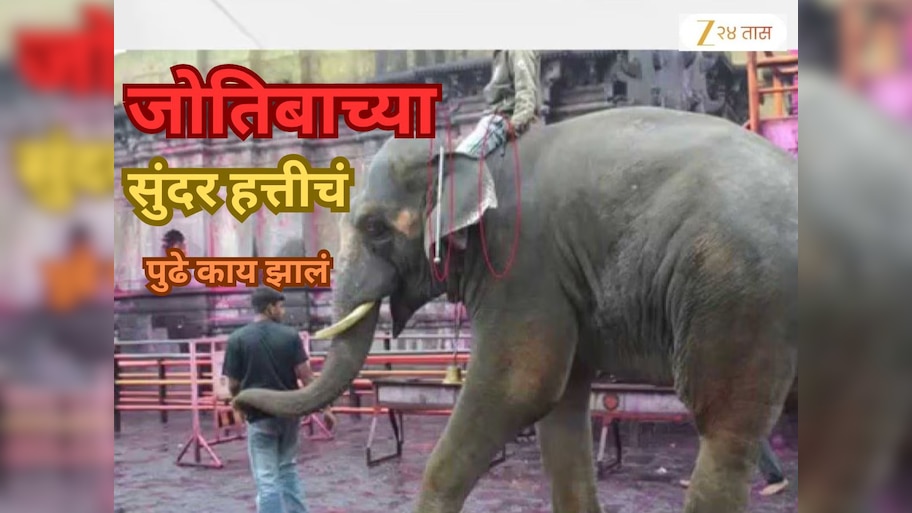 महादेवीप्रमाणे जंगलात पाठवलेल्या जोतीबाच्या सुंदर हत्तीचं पुढे काय झालं? ते प्रश्न अजूनही अनुत्तरित