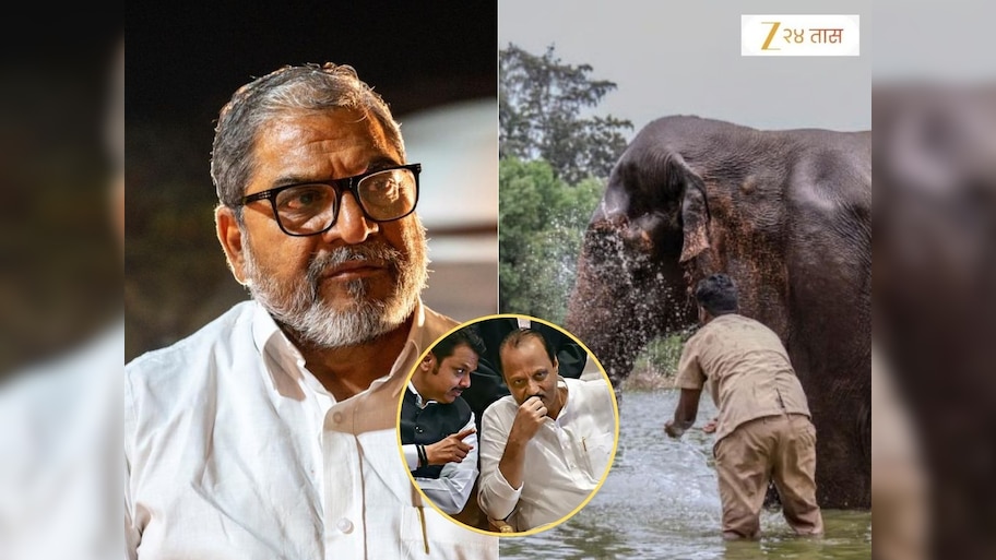 Raju Shetty Meets CM Devendra Fadnavis overs Mahadevi Elephant | 'स्वत ...