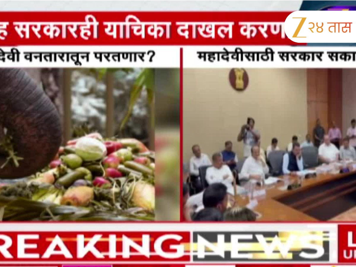 महादेवी हत्तीणीला कोल्हापुरात आणण्याबाबत हालचाली; राज्य सरकारच्या याचिकेला वनताराचा पूर्ण पाठिंबा