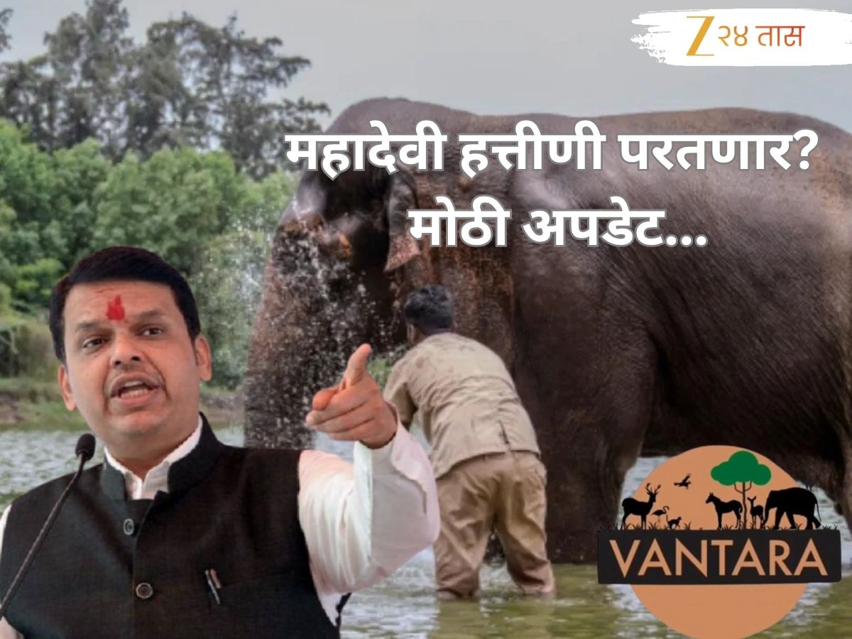 सरकारच्या याचिकेनंतर वनताराचाही मोठा निर्णय; महादेवी हत्तीणी परत नांदणी गावात येणार?