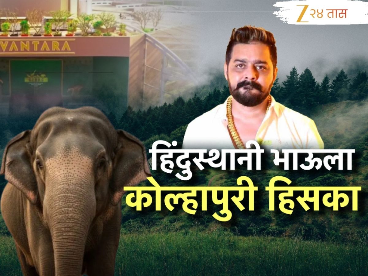 ‘कोल्हापुरी पायताण’ दाखवताच नरमला; म्हणाला, ‘राजकारणी…’, हिंदुस्थानी भाऊची पोस्ट सोशल मीडियावर व्हायरल