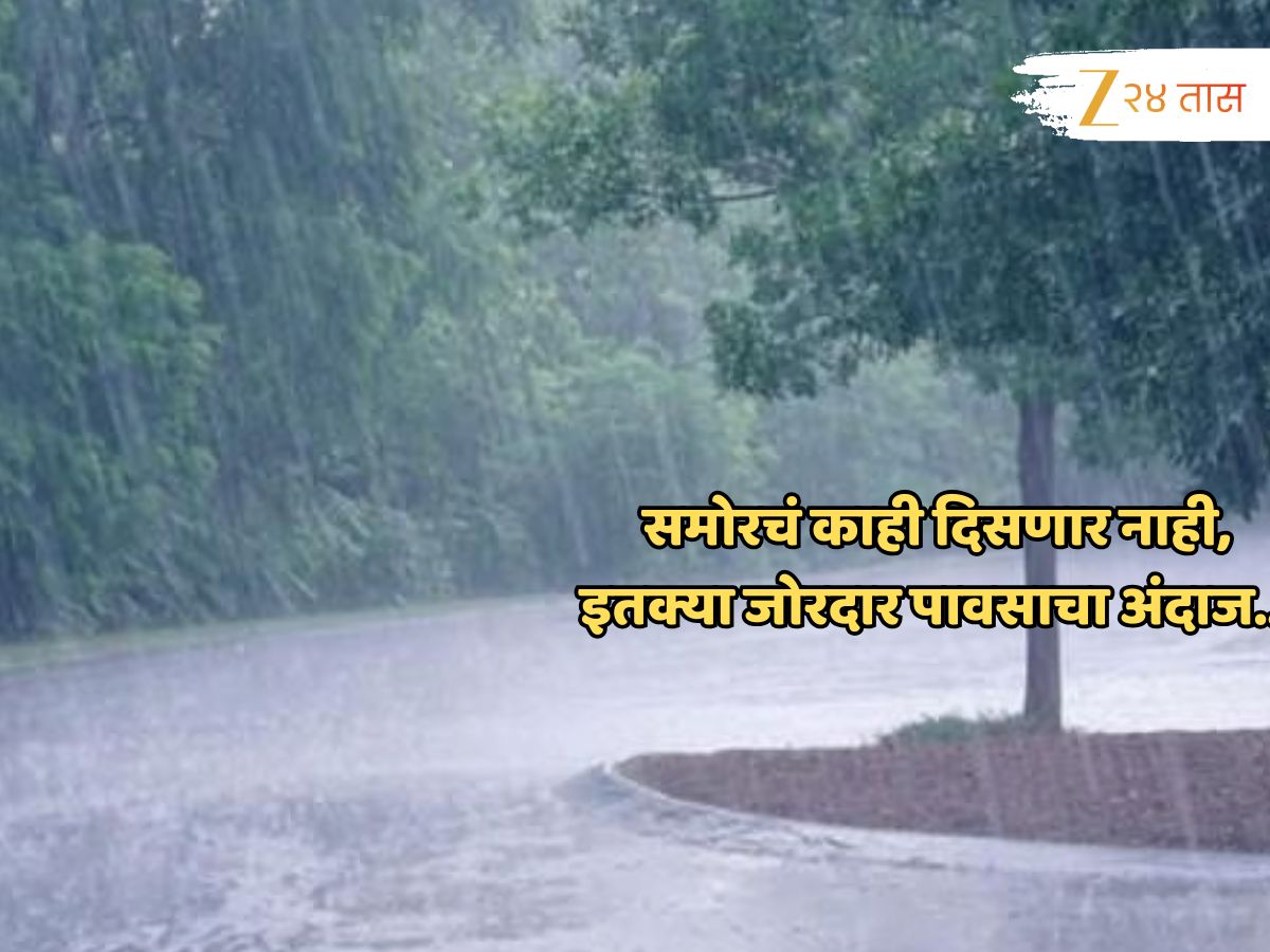 पुन्हा काळे ढग, विजा अन्… जोरदार पाऊसधारा; हवामान विभागाकडून राज्याच्या कोणत्या जिल्ह्यांसाठी इशारा?