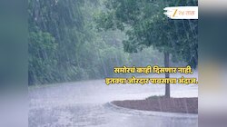 पुन्हा काळे ढग, विजा अन्... जोरदार पाऊसधारा; हवामान विभागाकडून राज्याच्या कोणत्या जिल्ह्यांसाठी इशारा?