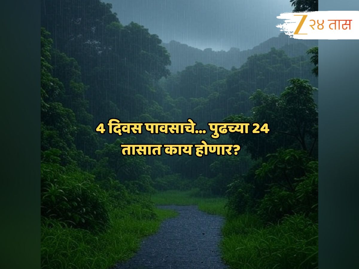 Maharashtra Weather News : पावसाचं दमदार पुनरागमन; विजांच्या कडकडाटासह नारळी पौर्णिमा गाजवणार…