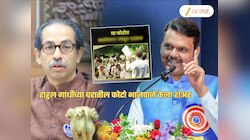 राहुल गांधींच्या घरातील 'तो' फोटो BJP ने केला शेअर! कारण ठरले ठाकरे; भाजपा म्हणते, 'या फोटोत...'