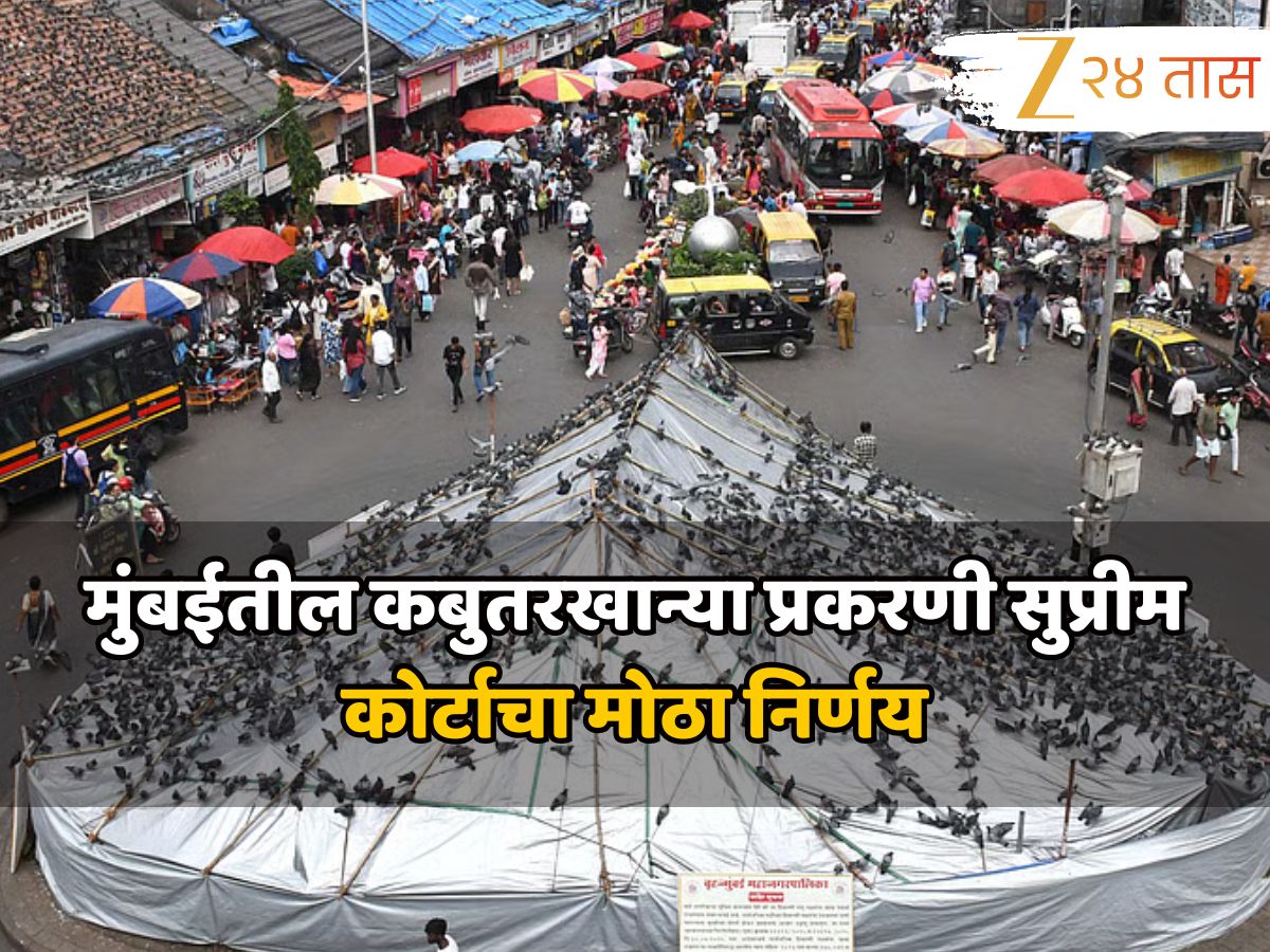 कबुतरखाना प्रकरणी सुप्रीम कोर्टाचा मोठा निर्णय, या पुढे दादरमधील कबुतरांना…