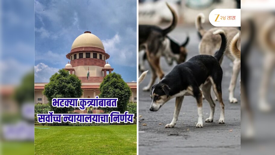 भटक्या कुत्र्यांबाबत सर्वोच्च न्यायालयाचा सर्वात मोठा निर्णय? आता रस्ते होणार 'डॉग फ्री'