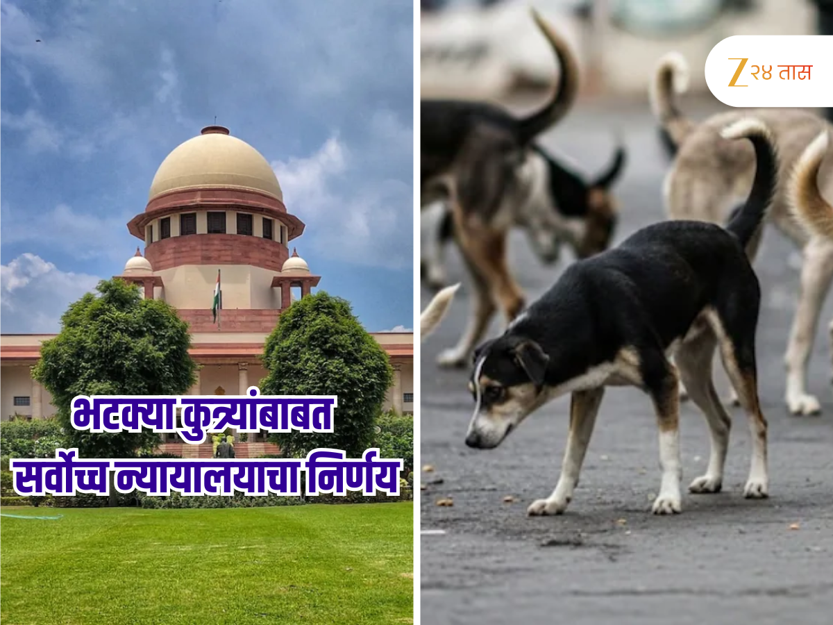 भटक्या कुत्र्यांबाबत सर्वोच्च न्यायालयाचा सर्वात मोठा निर्णय? आता रस्ते होणार 'डॉग फ्री' भटक्या कुत्र्यांबाबत सर्वोच्च न्यायालयाचा सर्वात मोठा निर्णय? आता रस्ते होणार 'डॉग फ्री'