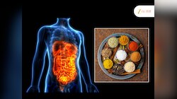 पोटासाठी कोणते मसाले सर्वोत्तम? डॉक्टरांनी सांगितले 10 Spices मुळे गट हेल्थ चांगली राहते