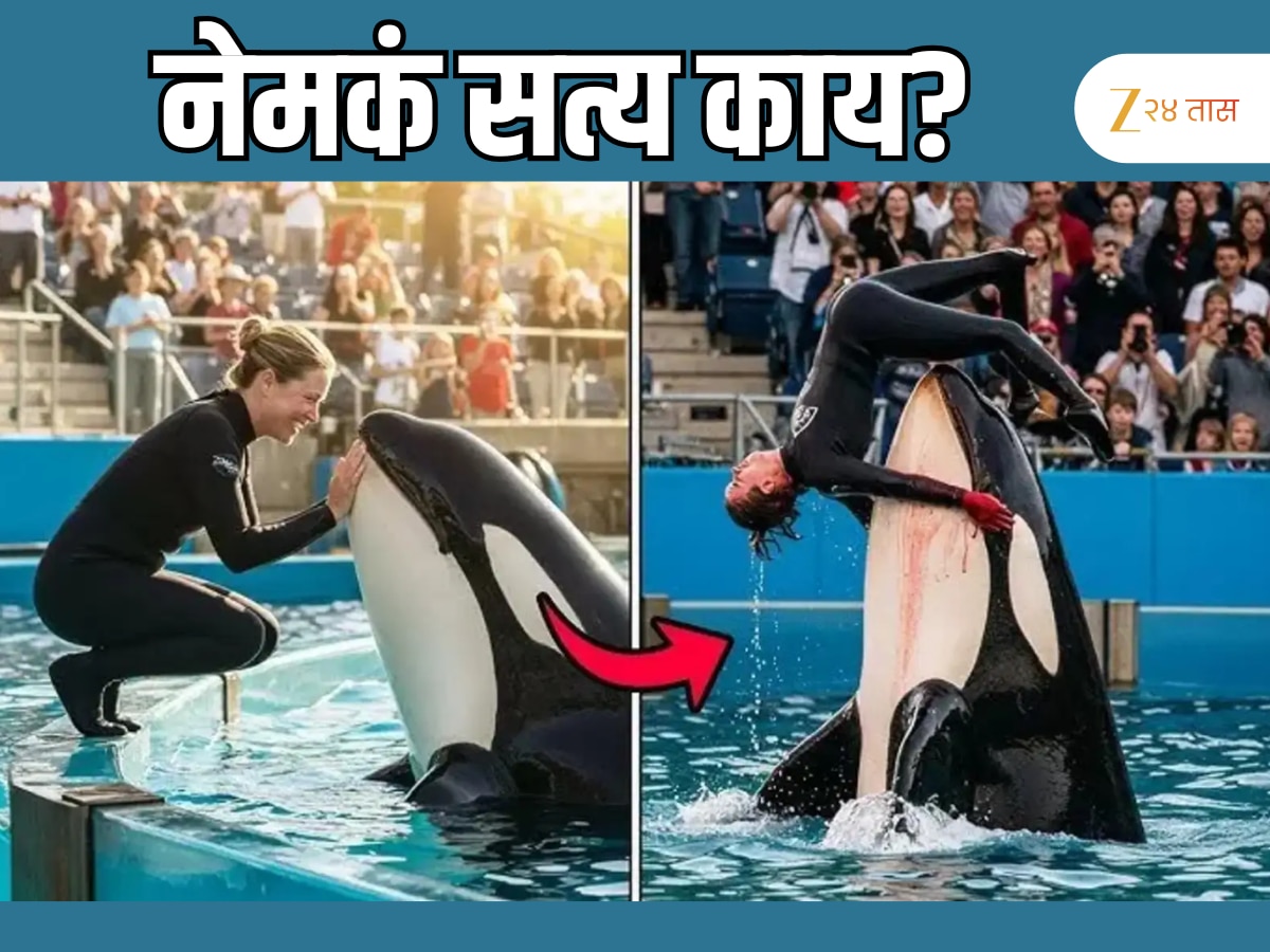 Jessica Radcliffe: The Viral Video And The Truth About The Orca! - a1da8b9