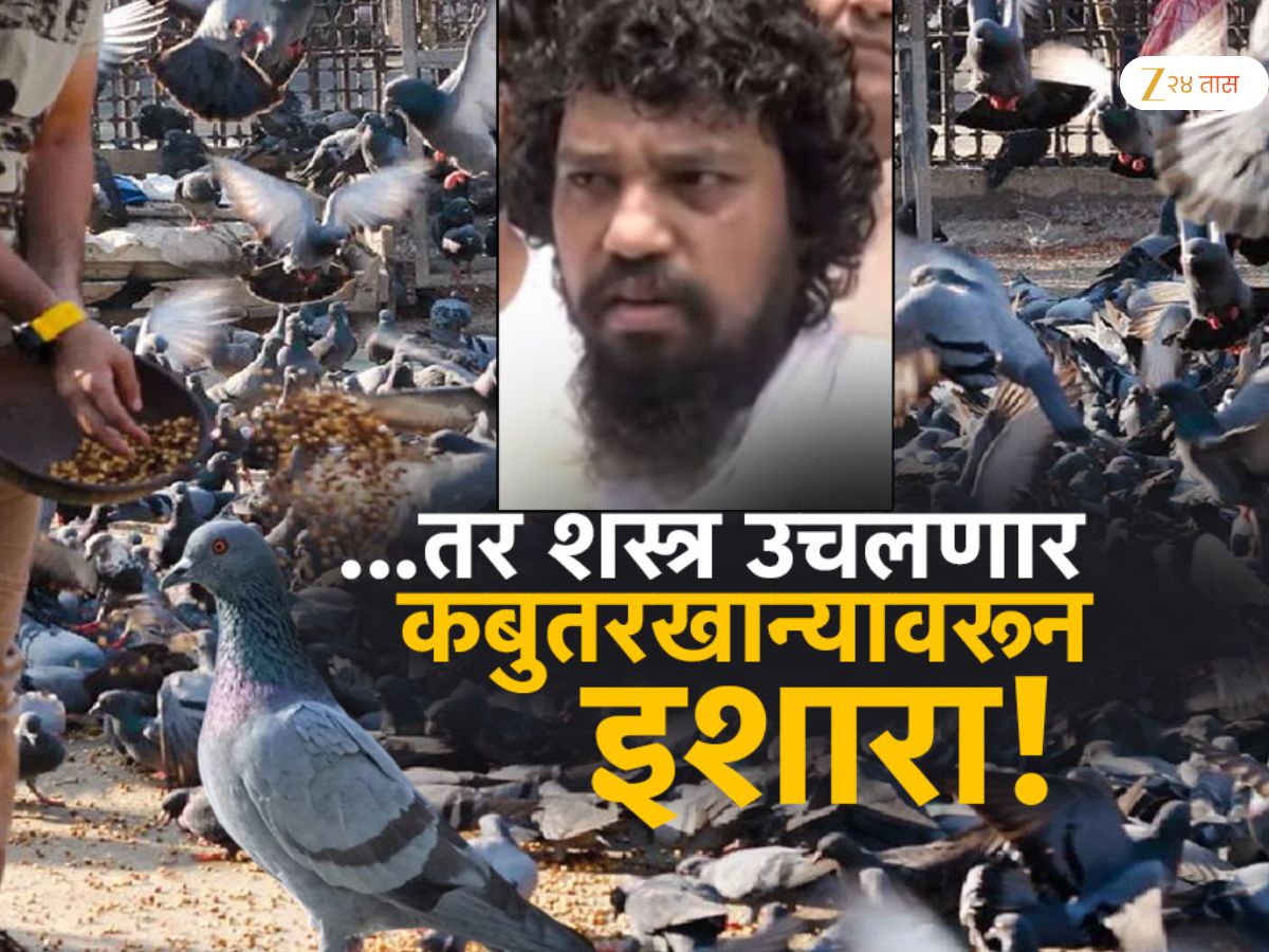 जैन समाजाने घेतला मोठा निर्णय; कबूतरखाण्या संबंधी जो काही निर्णय व्हायचा असेल तो मुंबई उच्च न्यायालयामध्ये होईल पण…