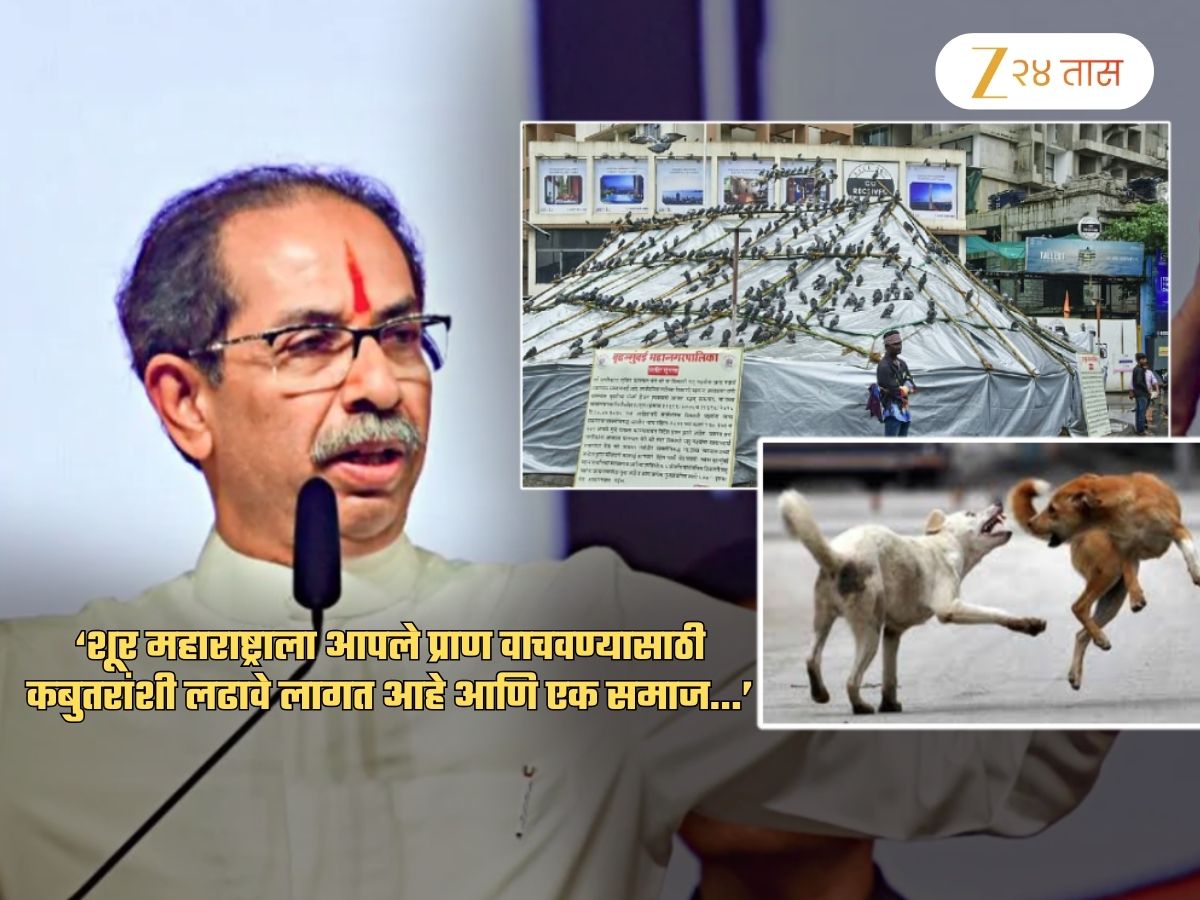 ‘आपल्या देशात धर्माच्या नावाने फालतू…’; कुत्री, कबुतर पॉलिटिक्सवरुन ठाकरेंच्या सेनेचा संताप