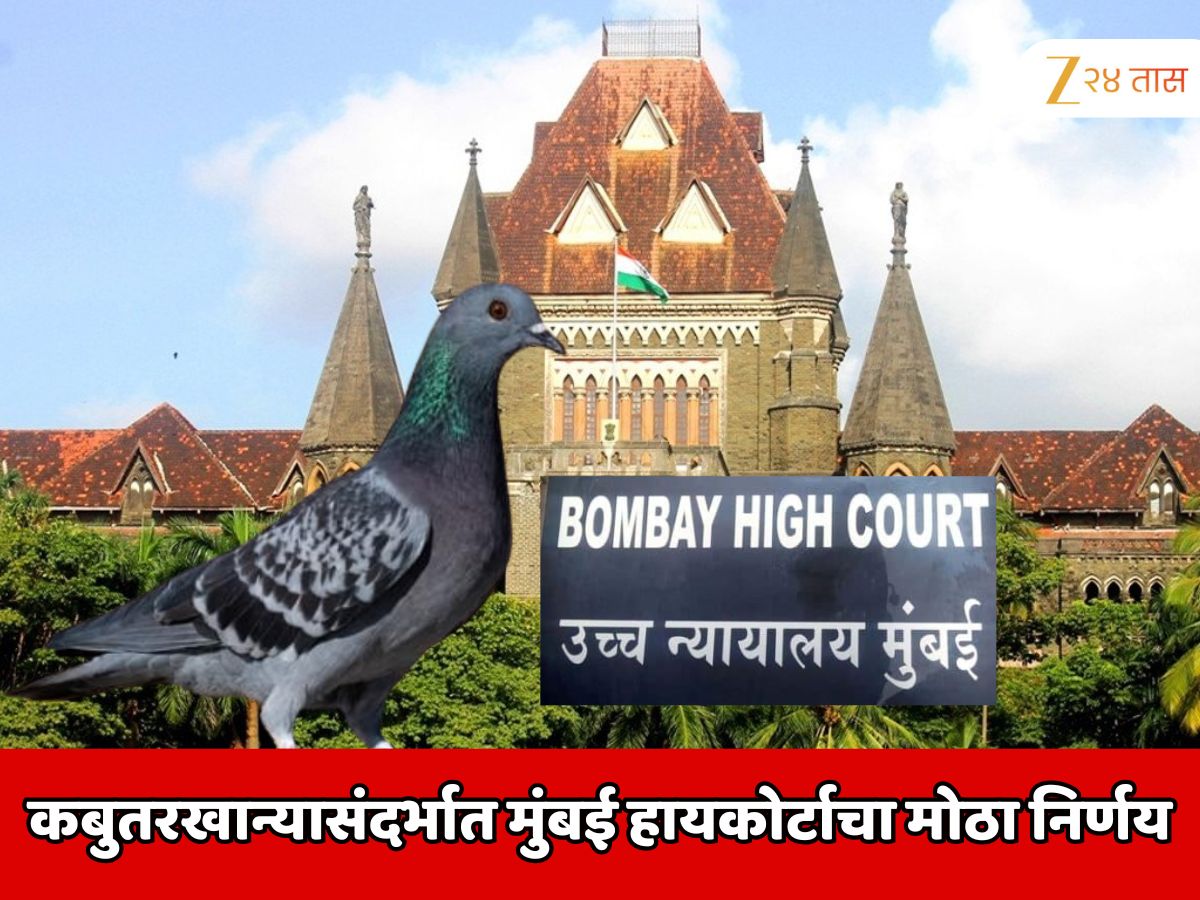 कबुतरखान्यासंदर्भात मुंबई हायकोर्टाचा मोठा निर्णय; लोकांची भूमिका विचारात घेऊनच निर्णय घेतल्याचं कोर्टाचे स्पष्टीकरण