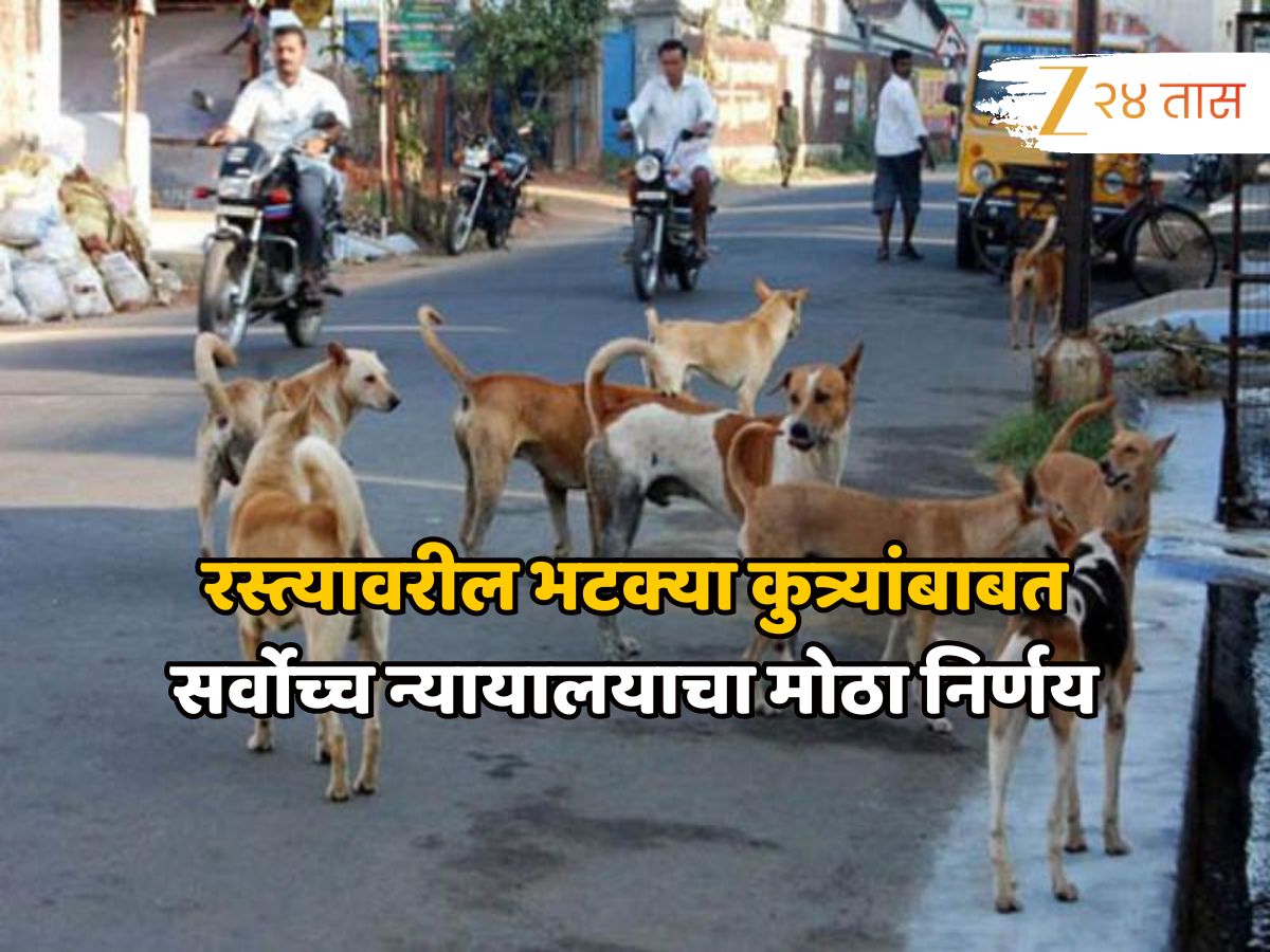 रस्त्यावरील भटक्या कुत्र्यांबाबत सर्वोच्च न्यायालयाचा मोठा निर्णय, नियमाचे पालन न केल्यास कारवाई होणार