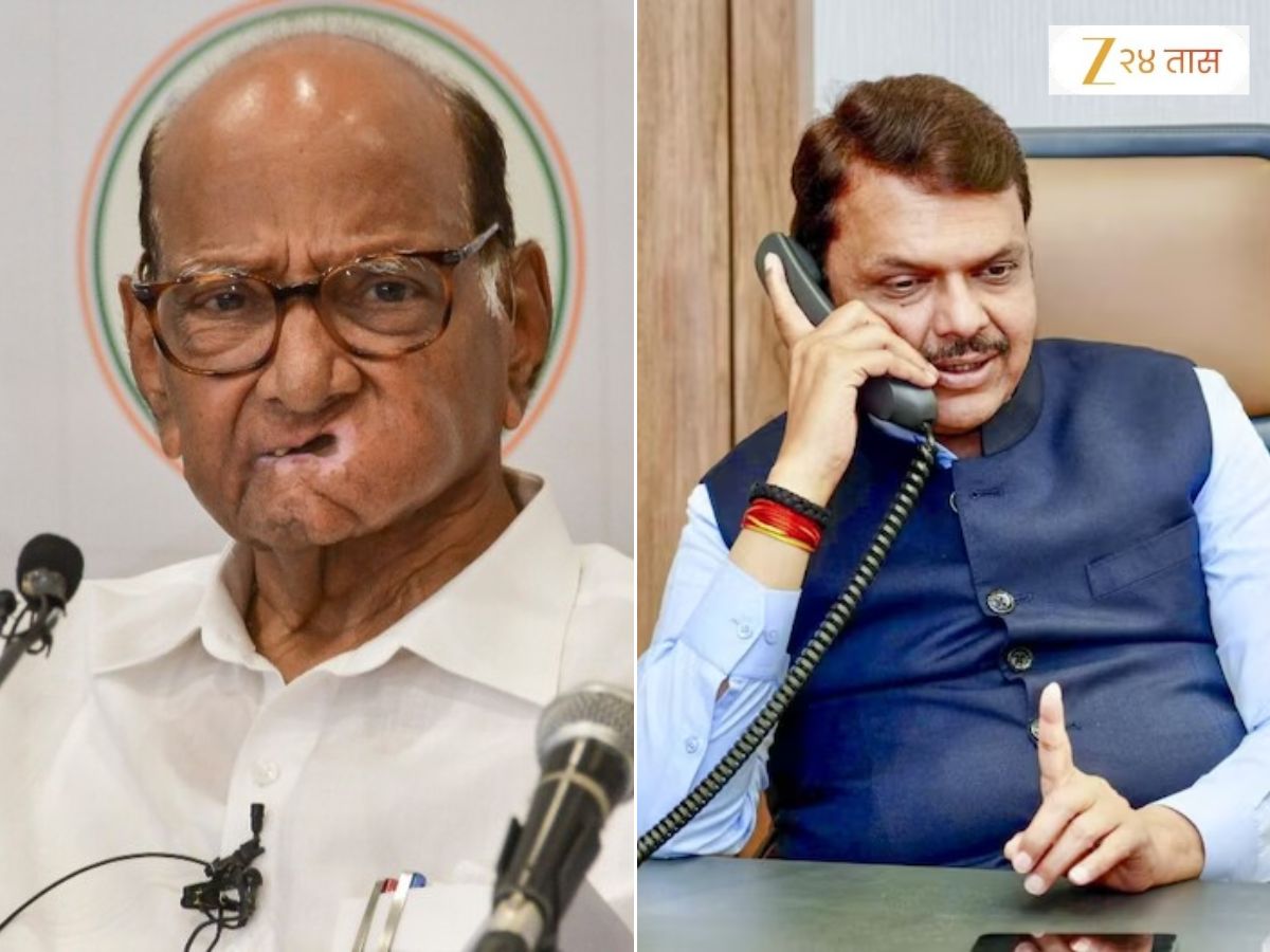 CM देवेंद्र फडणवीसांचं निवेदन का नाकारलं? शरद पवारांनी स्पष्टच सांगितलं, म्हणाले ‘अशांना निवडणुकीत…’