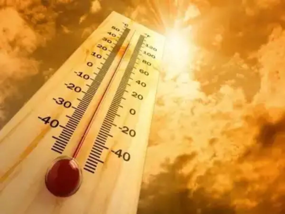 तापमानवाढीमुळं आरोग्य धोक्यात, गर्भवती महिलांना…; धडकी भरवणारा अहवाल समोर