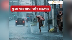 Weather Alert: राज्यात आज मुसळधार पाऊस, 7 जिल्ह्यांना अलर्ट; तर गणेशोत्सवातही पाऊसमारा, हवामान खात्याचा अंदाज