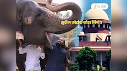 अनंत अंबानींना मोठा धक्का! SIT च्या माध्यमातून वनताराची चौकशी करण्याचे सर्वोच्च न्यायालयाचे आदेश