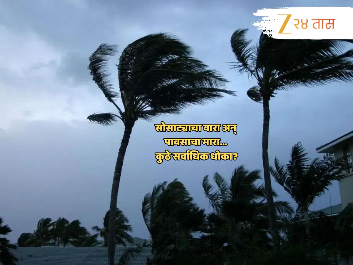 Maharashtra Weather News : पुढील 24 तासांत 'या' जिल्ह्यांमध्ये धडकी भरवणारा पाऊस; पाहा राज्यातील हवामान अंदाज