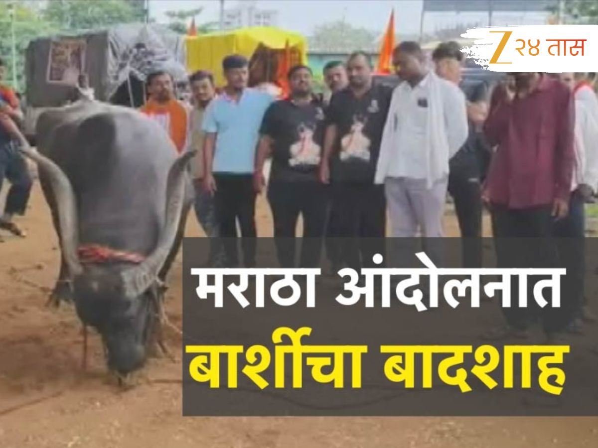 Maratha Reservation : जरांगेंच्या आंदोलनात सर्वांचे लक्ष वेधून घेणारा बार्शीचा बादशाह कोण?