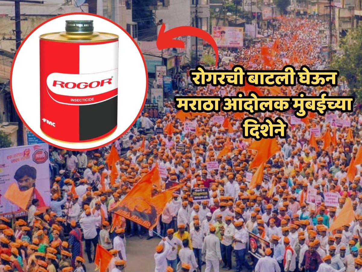 मराठे आक्रमक! सदावर्ते, हाकेंसाठी रोगरची बाटली घेऊन मुंबईच्या दिशेनं रवाना