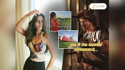 शाहरुखची लेक सुहाना खान अडचणीत, अलिबागमध्ये...; 13 कोटी पाण्यात? सरकार करणार कारवाई; नक्की घडलं काय?