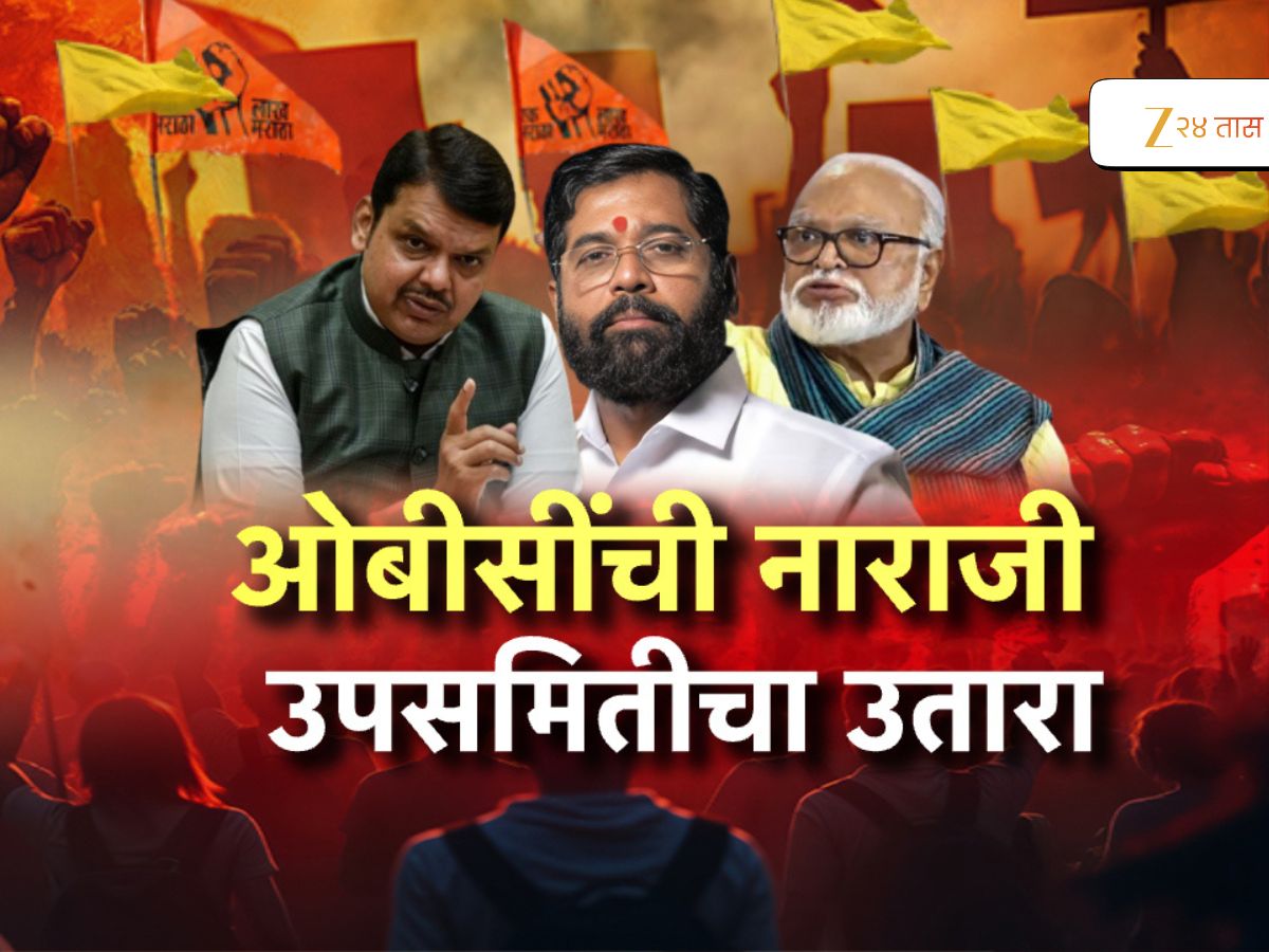ओबीसीच्या उपसमितीमध्ये कुणा कुणाची वर्णी?