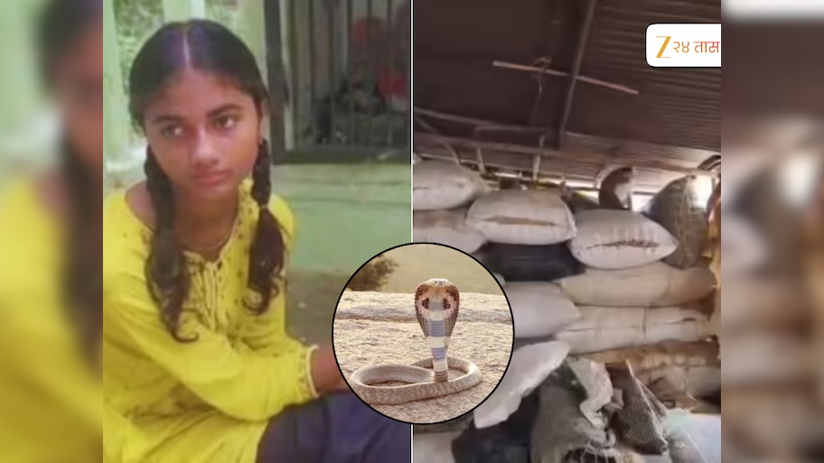 19 वर्षीय तरुणीला तब्बल 9 वेळा चावला कोब्रा, कारण ऐकून व्हाल हैराण? 