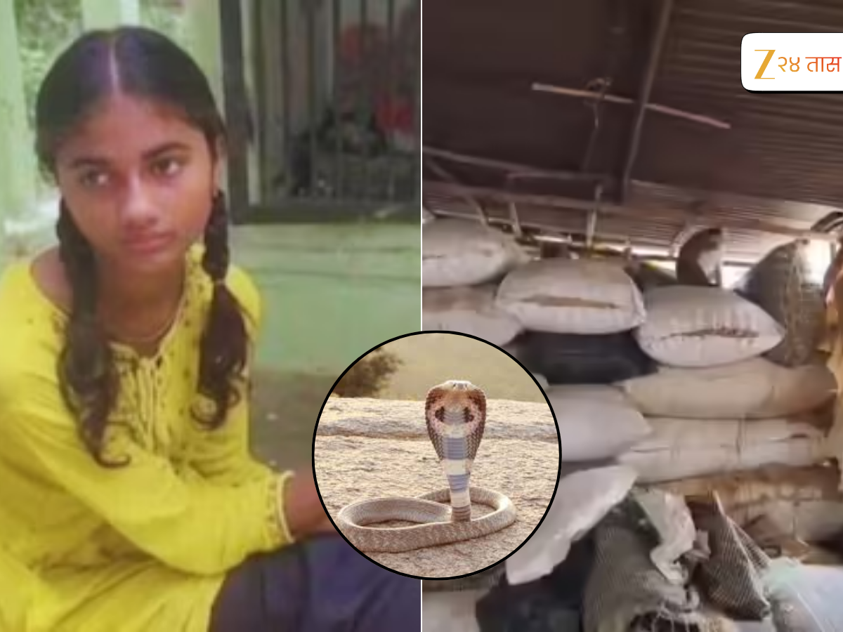 19 वर्षीय तरुणीला तब्बल 9 वेळा चावला कोब्रा, कारण ऐकून व्हाल हैराण? 19 वर्षीय तरुणीला तब्बल 9 वेळा चावला कोब्रा, कारण ऐकून व्हाल हैराण?