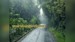 राज्यात पावसाचा जोर ओसरणार? पण 'या' जिल्ह्यात यलो अलर्ट जारी