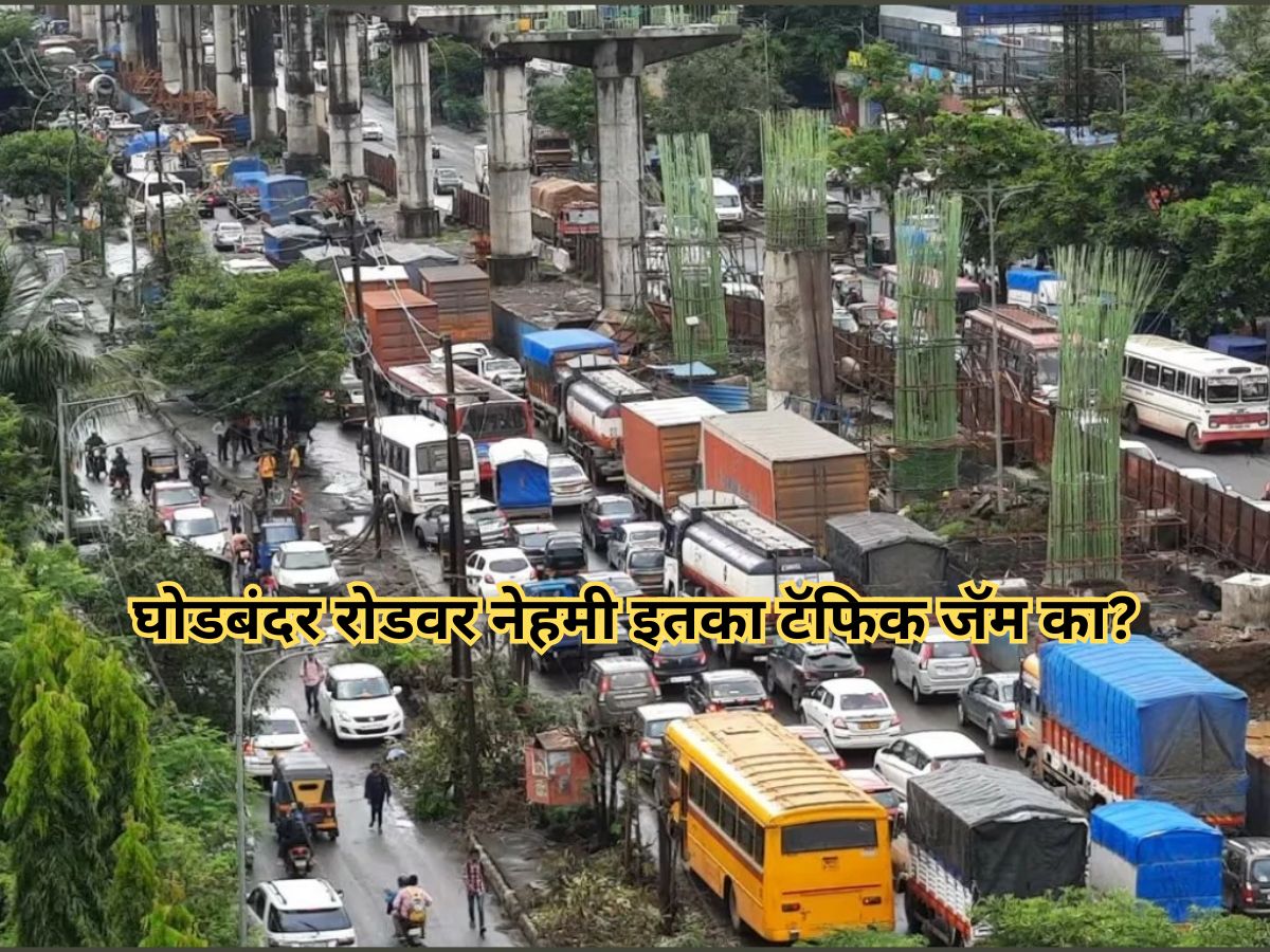 घोडबंदर रोडवर दररोज या वेळेतच होतो भयंकर Traffic Jam; 1-2 नव्हे तर तब्बल 7 कारणांमुळं प्रवासी मेटाकुटीला घोडबंदर रोडवर दररोज या वेळेतच होतो भयंकर Traffic Jam; 1-2 नव्हे तर तब्बल 7 कारणांमुळं प्रवासी मेटाकुटीला