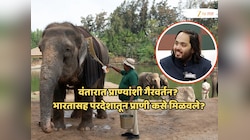 अनंत अंबानींच्या अडचणी वाढणार? वंतारात प्राण्यांशी गैरवर्तन? भारत आणि परदेशातून प्राणी कसे मिळवले? SIT ने पाठवली 200 प्रश्नांची यादी!