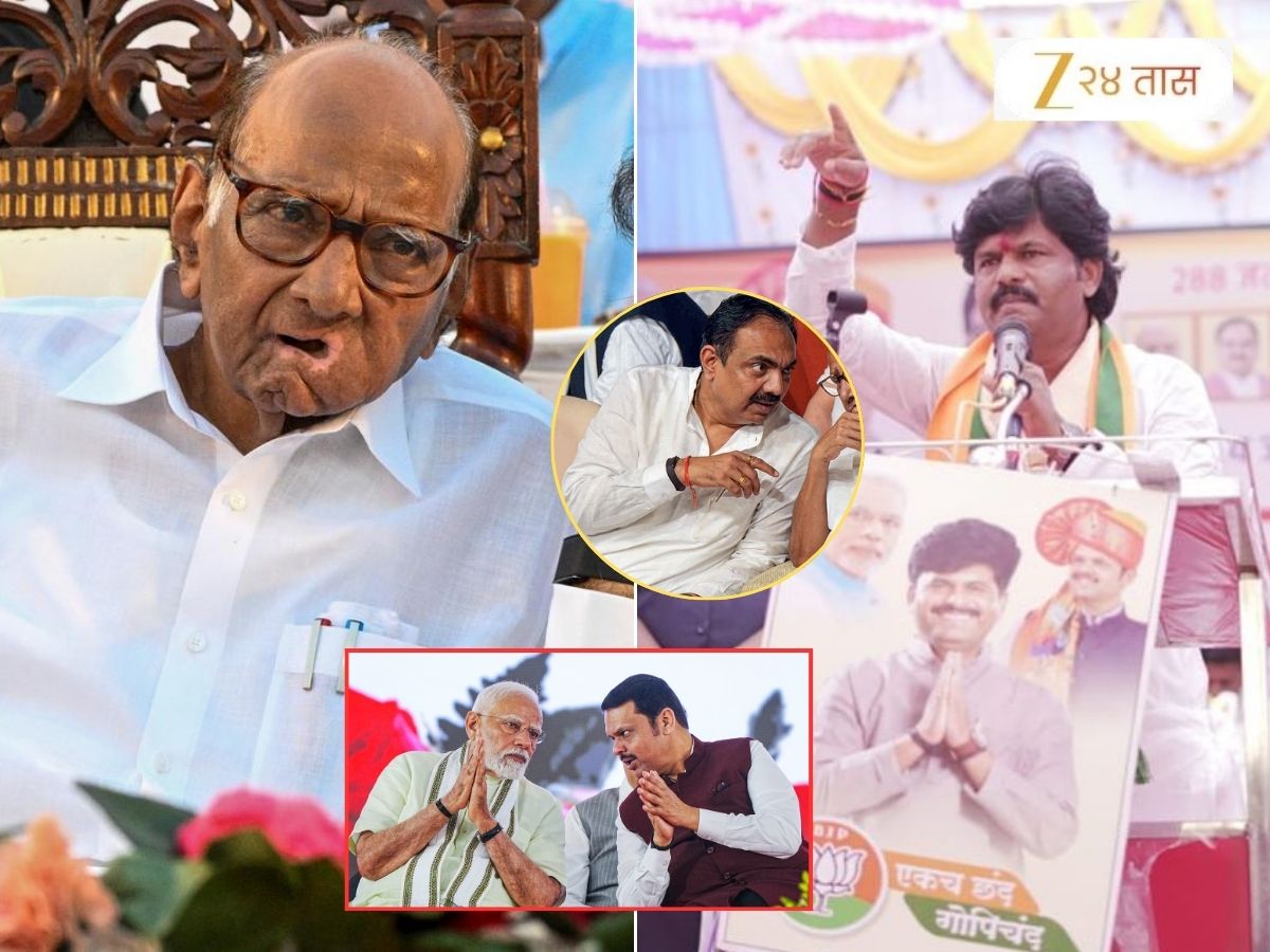 'मोदींच्या आईबद्दल बोलले तेव्हा शरद पवार...'; पडळकर आपल्या आक्षेपार्ह विधानावर ठाम, समोर आली पहिली प्रतिक्रिया 'मोदींच्या आईबद्दल बोलले तेव्हा शरद पवार...'; पडळकर आपल्या आक्षेपार्ह विधानावर ठाम, समोर आली पहिली प्रतिक्रिया