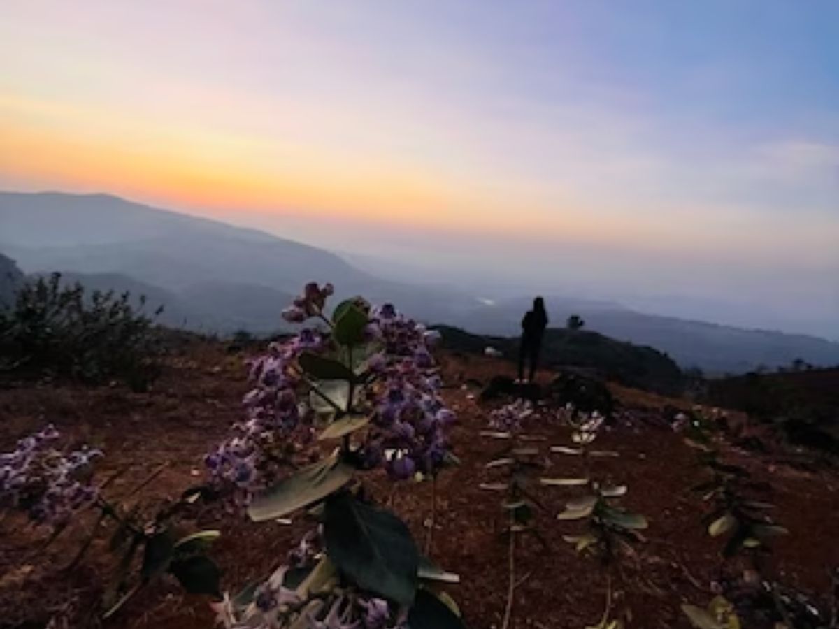 maharashtra village Kasmal pen Raigad Vyghareshwar Beautiful Nature ...
