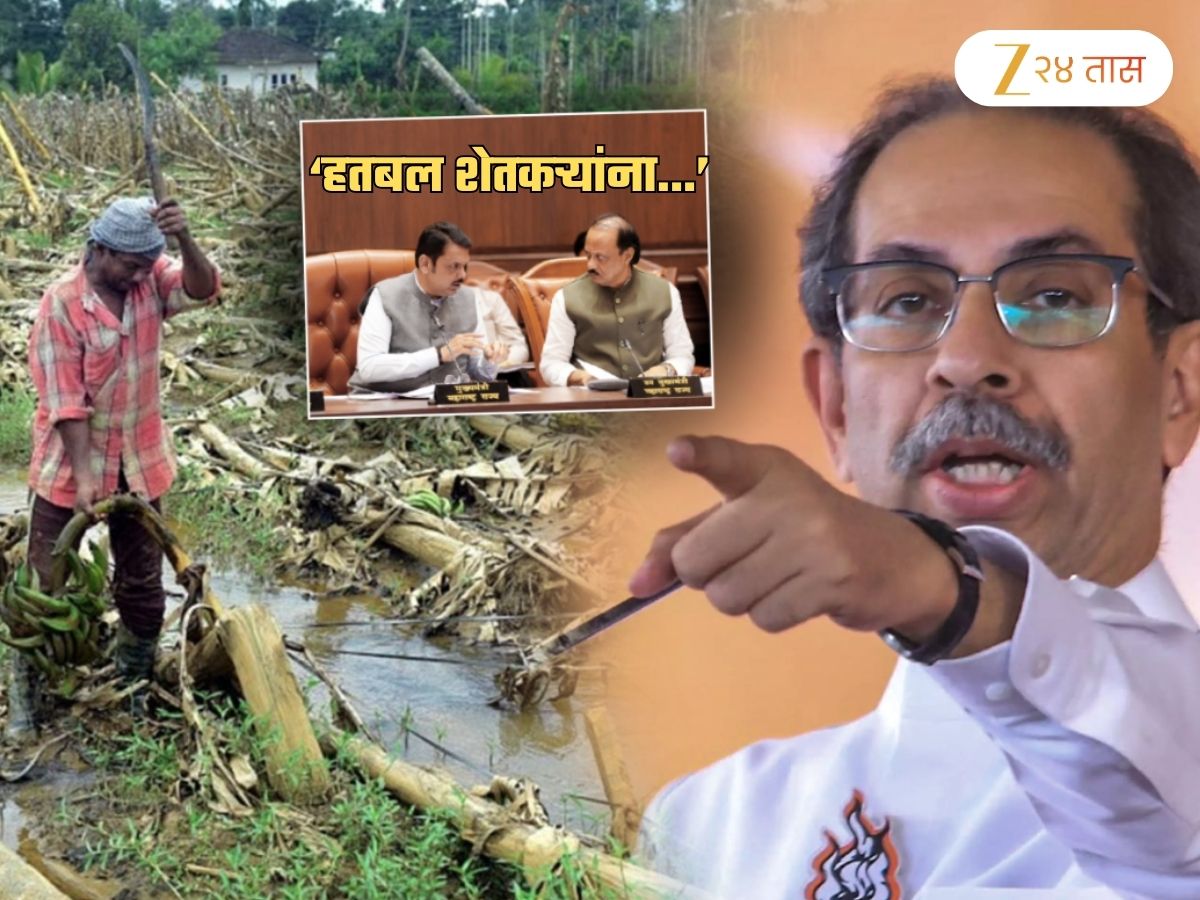 ‘सरकार कुठे गेले? असा…’; ठाकरेंच्या सेनेकडून ओल्या दुष्काळाच्या घोषणेची मागणी करत हल्लाबोल ‘सरकार कुठे गेले? असा…’; ठाकरेंच्या सेनेकडून ओल्या दुष्काळाच्या घोषणेची मागणी करत हल्लाबोल