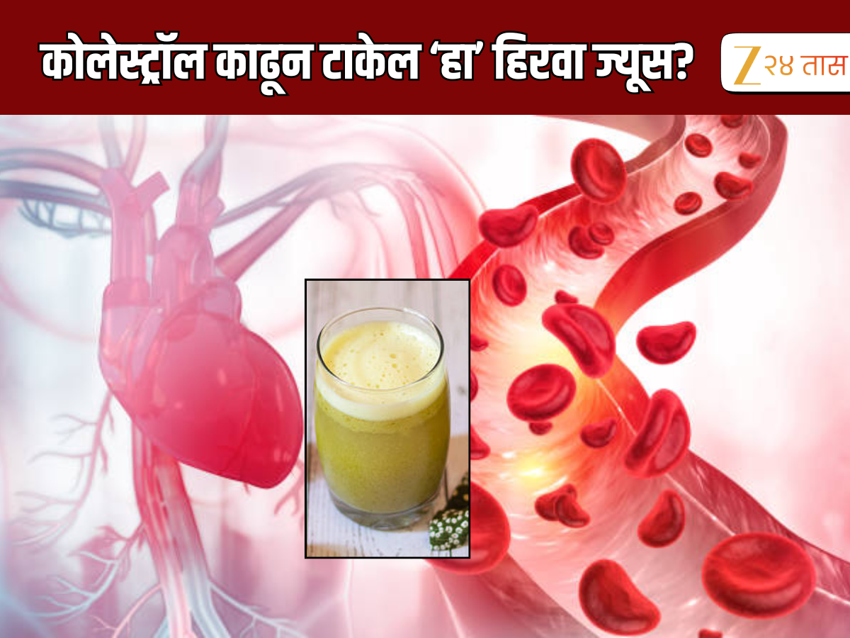 रक्ताच्या नसांमधून साफ होईल कोलेस्ट्रॉल, आयुर्वेदाने सांगितला उपाय, फक्त हा ज्यूस न चुकता प्या रक्ताच्या नसांमधून साफ होईल कोलेस्ट्रॉल, आयुर्वेदाने सांगितला उपाय, फक्त हा ज्यूस न चुकता प्या