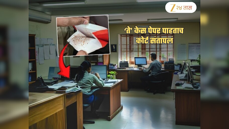 सरकारी कागदपत्रं चाळण्यासाठी गुटख्याच्या लाळेचा वापर! उच्च न्यायालयही संतापून म्हणालं, 'ही अत्यंत...'