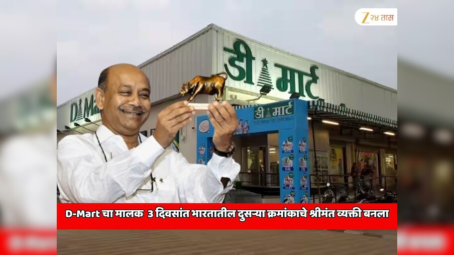 D-Mart ला 162187900000 रुपयांचा रेकॉर्डब्रेक फायदा; कमाई 15.4 टक्क्यांनी वाढली; मालक 3 दिवसांत भारतातील दुसऱ्या क्रमांकाचे श्रीमंत व्यक्ती बनला