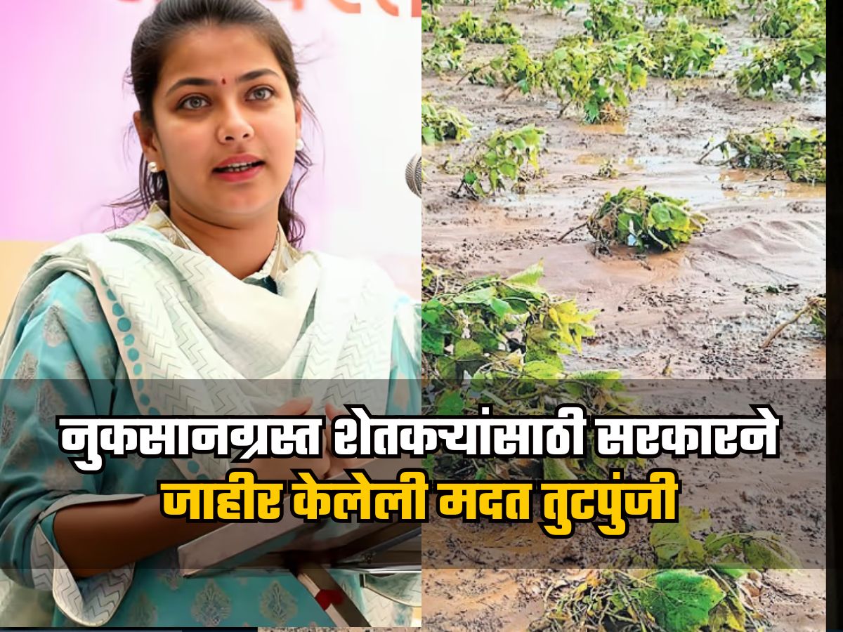 नुकसानग्रस्त शेतकऱ्यांसाठी सरकारने जाहीर केलेली मदत तुटपुंजी, प्रणिती शिंदेंची सरकारवर टीका