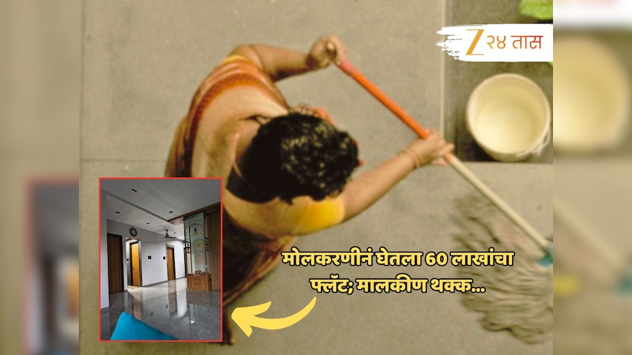 मोलकरणीनं घेतला नवाकोरा 3BHK फ्लॅट; इंटेरिअरचा फोटो पाहून मालकीणही थक्क!