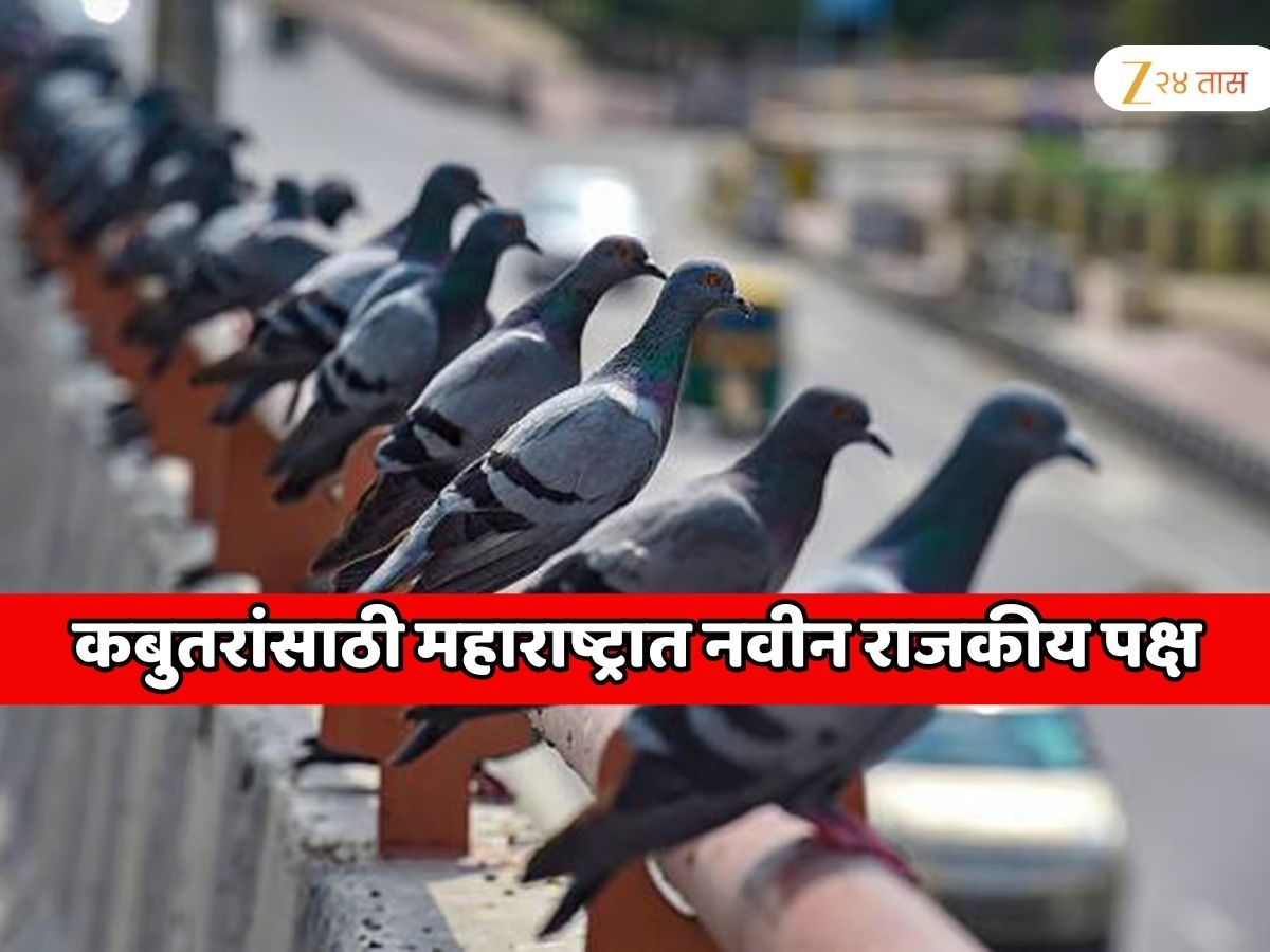 महाराष्ट्रात नवीन पक्ष स्थापन होणार; पक्षाचे चिन्ह कबुतर, बीएमसी निवडणुकीत उमेदवार उभे करणार महाराष्ट्रात नवीन पक्ष स्थापन होणार; पक्षाचे चिन्ह कबुतर, बीएमसी निवडणुकीत उमेदवार उभे करणार