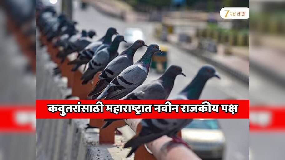  महाराष्ट्रात नवीन पक्ष स्थापन होणार; पक्षाचे चिन्ह कबुतर, बीएमसी निवडणुकीत उमेदवार उभे करणार 