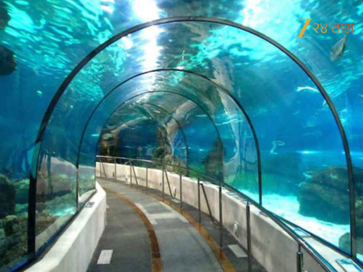 प्रकल्पाच्या पूर्ततेस काही वर्षं world longest underwater tunnel railway station japan news
