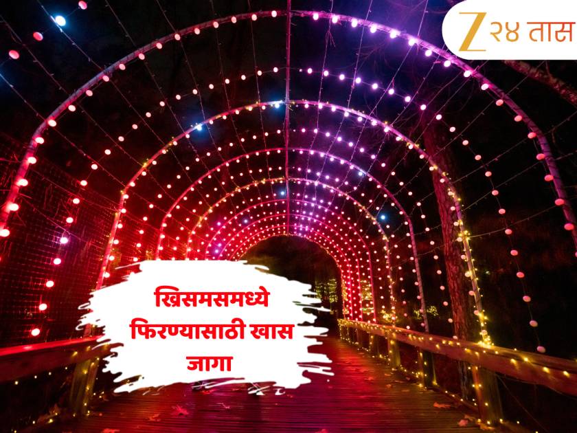 ख्रिसमसमध्ये फिरायला जायचा प्लॅन करताय? 'ही' जागा देईल संस्कृती, परंपरा आणि उत्सवाचा एकत्र अनुभव ख्रिसमसमध्ये फिरायला जायचा प्लॅन करताय? 'ही' जागा देईल संस्कृती, परंपरा आणि उत्सवाचा एकत्र अनुभव
