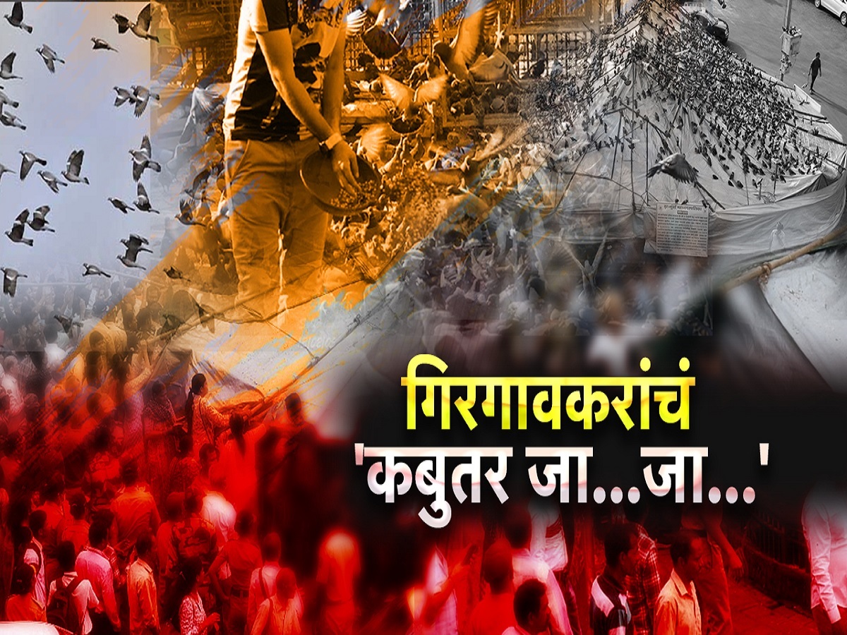 गिरगावकरांचं कबुतर जा.. जा... आम्ही गिरगावकर संघटनेची कबुतर खान्यांबाबत आक्रमक भूमिका गिरगावकरांचं कबुतर जा.. जा... आम्ही गिरगावकर संघटनेची कबुतर खान्यांबाबत आक्रमक भूमिका