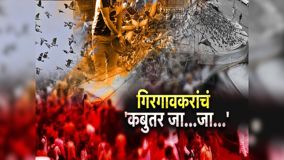 गिरगावकरांचं कबुतर जा.. जा... आम्ही गिरगावकर संघटनेची कबुतर खान्यांबाबत आक्रमक भूमिका