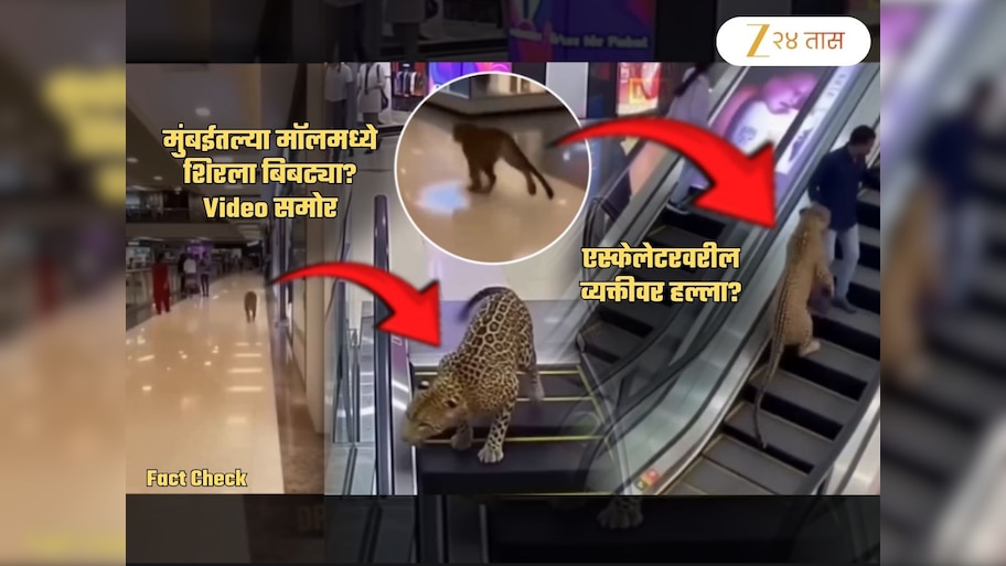 मुंबईतील Phoenix Marketcity मॉलमध्ये बिबट्याचा धुमाकूळ? एकावर हल्ला? 'तो' Video Viral पण...