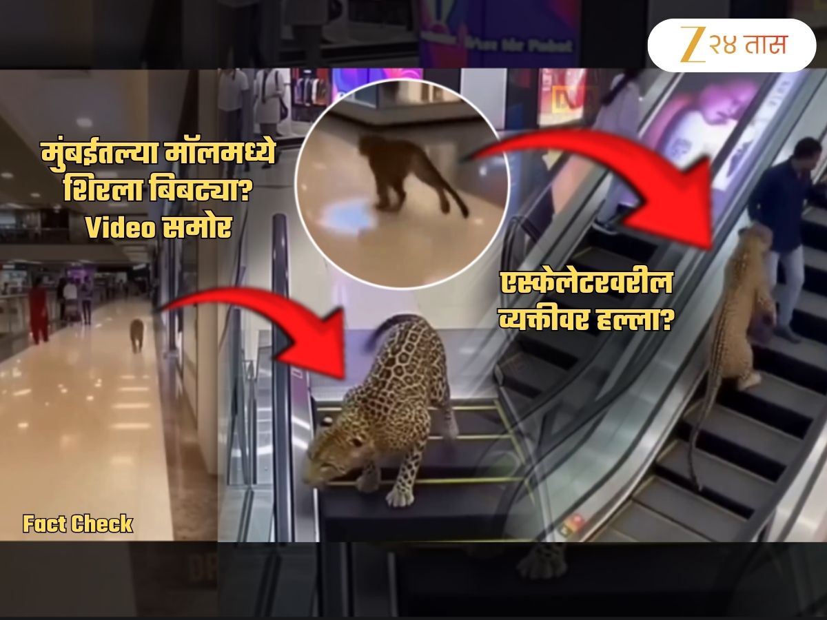 मुंबईतील Phoenix Marketcity मॉलमध्ये बिबट्याचा धुमाकूळ? एकावर हल्ला? 'तो' Video Viral पण... मुंबईतील Phoenix Marketcity मॉलमध्ये बिबट्याचा धुमाकूळ? एकावर हल्ला? 'तो' Video Viral पण...