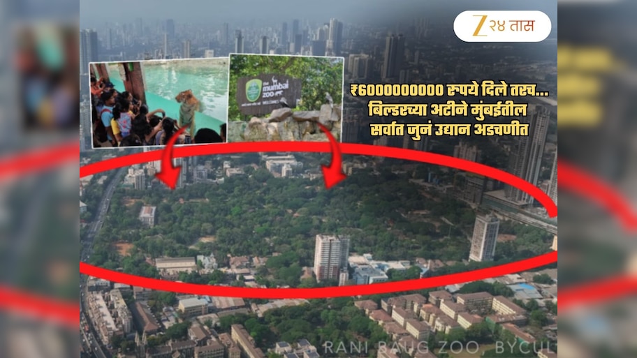 600 कोटी रुपये, तो बिल्डर अन् अमेरिका, आफ्रिकेतले प्राणी... राणीच्या बागेत चाललंय काय?